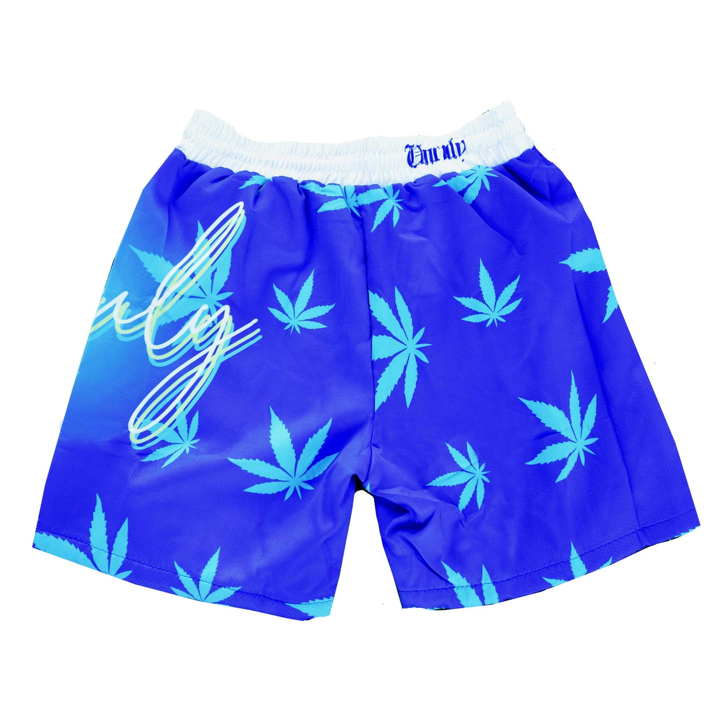 Unruly Swim Shorts Summer 420 - Royal Blue