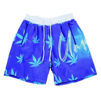 Unruly Swim Shorts Summer 420 - Royal Blue
